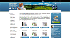 Desktop Screenshot of original-viagra.com